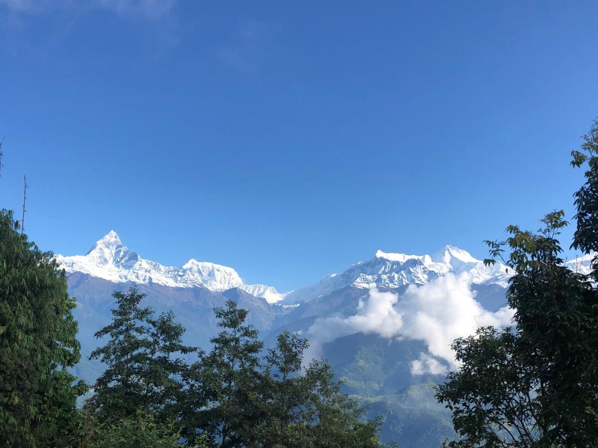 Hotel Pristine Himalaya Pokhara Esterno foto